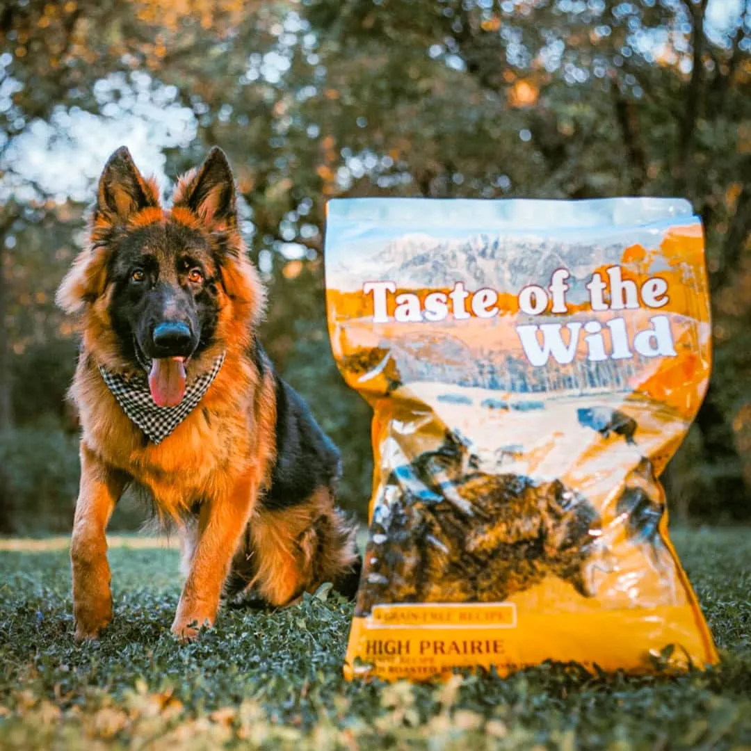 A German shepherd dog sitting in the grass next to a bag of High Prairie Canine Recipe.