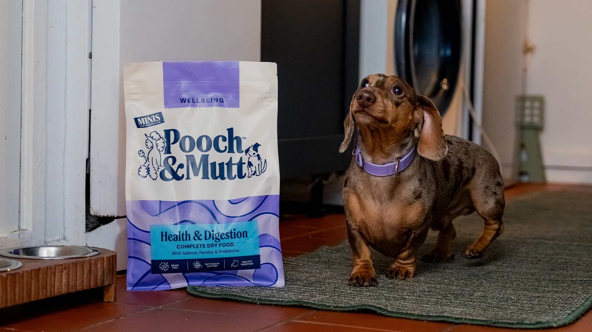 A Dachshund standing next to a bag of Pooch & Mutt