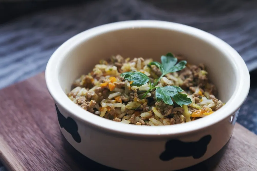 Homemade pet food prepared and served in a ceramic bowl