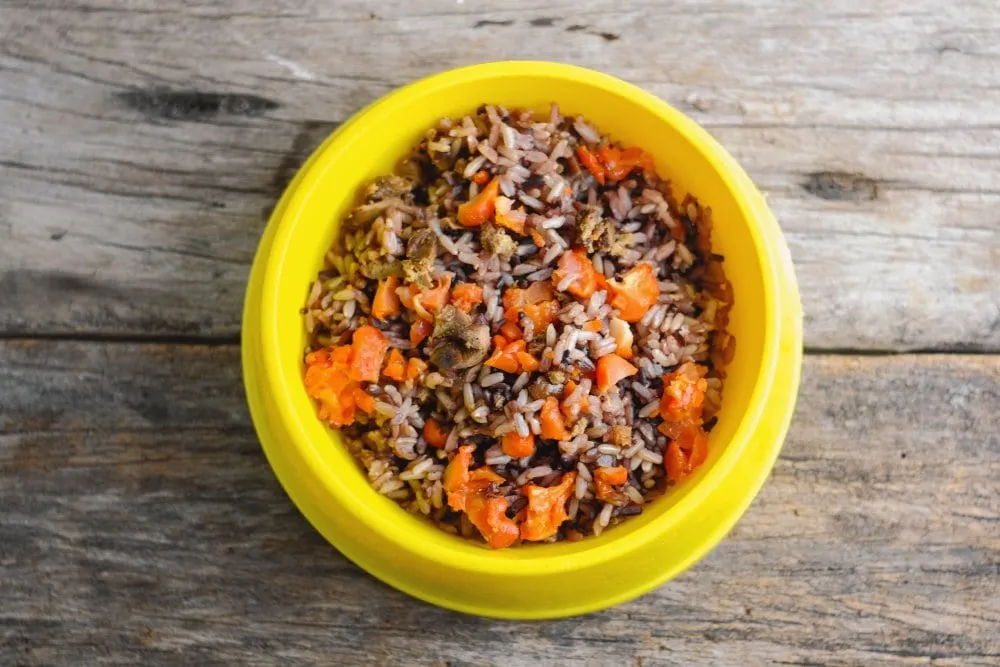 Homemade dog food made with chicken, rice, and vegetables served in a yellow bowl