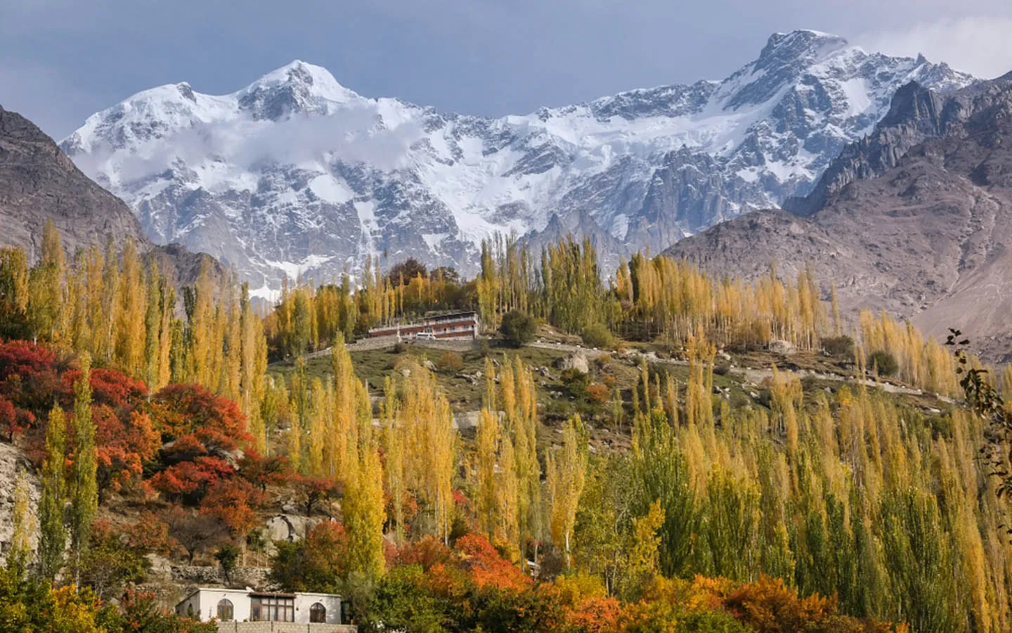Hunza Valley landscape with green fields and dramatic snow-covered mountains