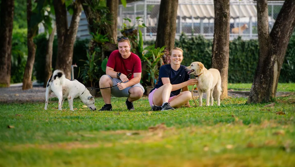 Volunteer walking a shelter dog along a path at the Phuket sanctuary