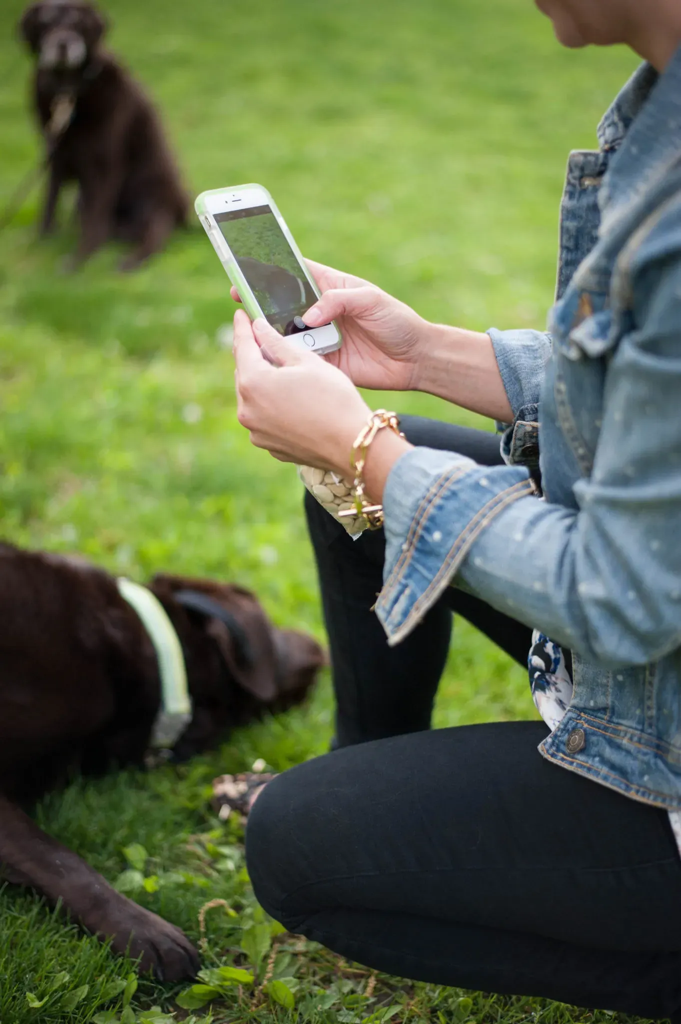 Dog mom using a training app with her dog outdoors