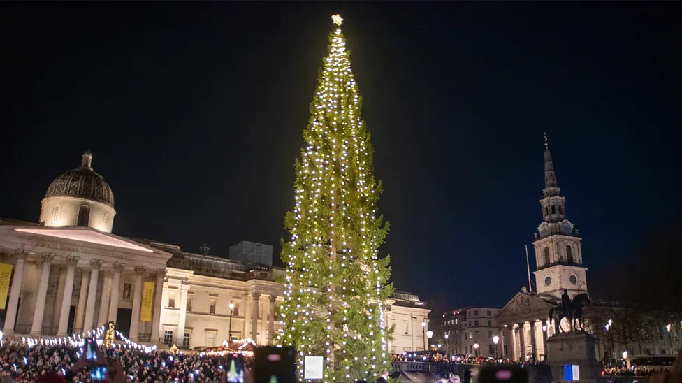 The Trafalgar Square Christmas tree glowing with lights against the night sky