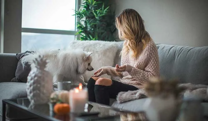 Pet sitter sending daily photo updates while caring for a dog at home