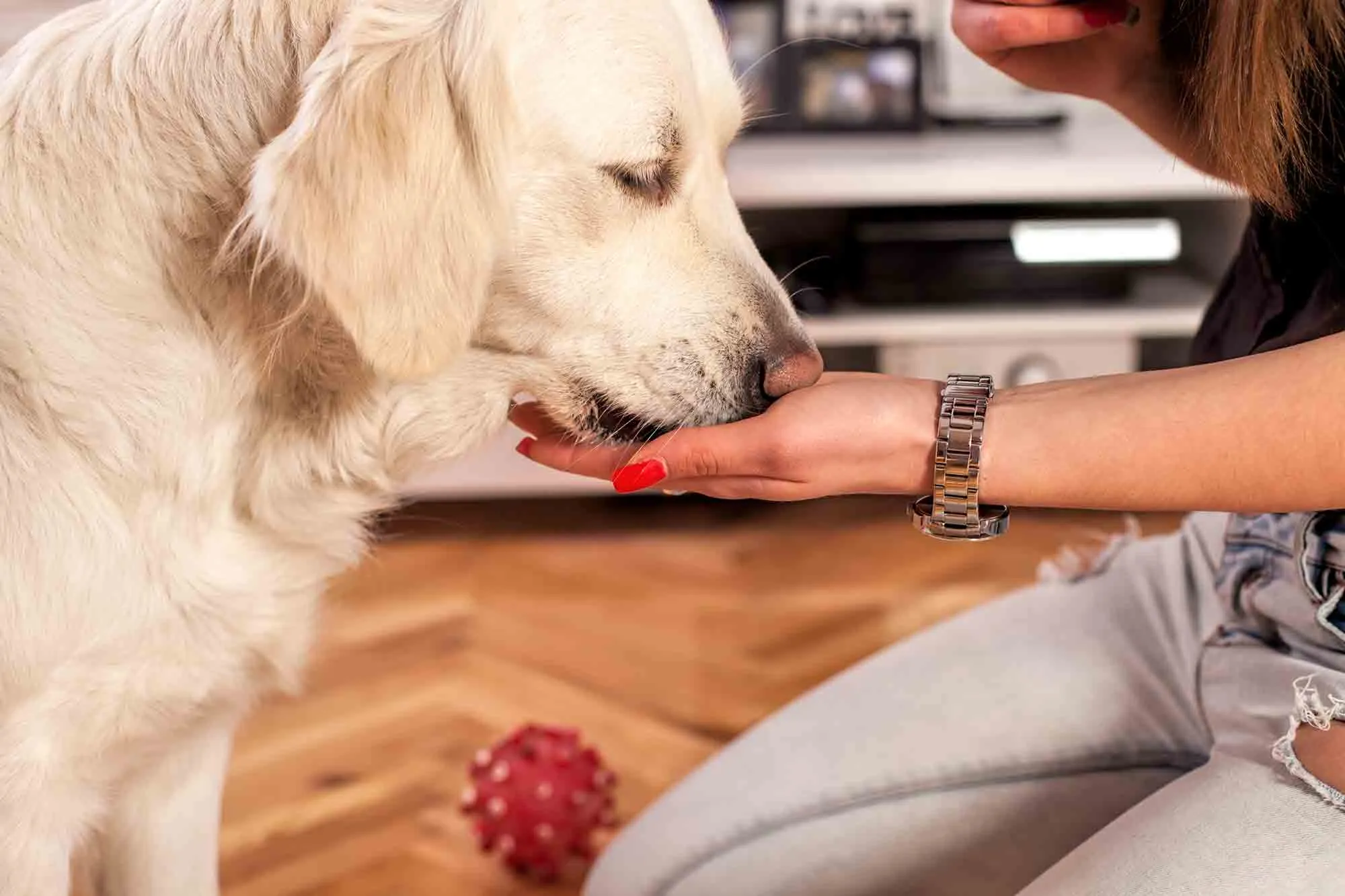 Pet pill pockets.