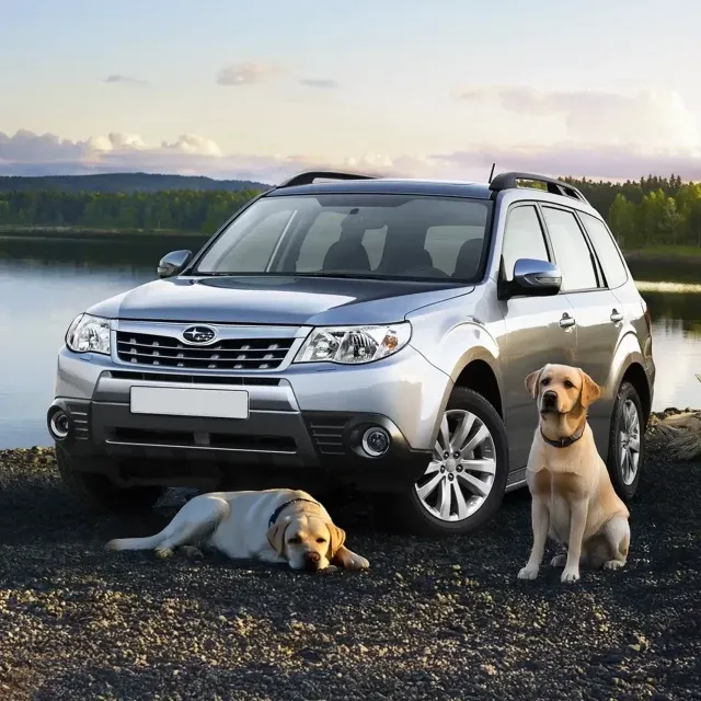 Subaru Forester back seat covered with a custom-fitted black-brown dog seat protector