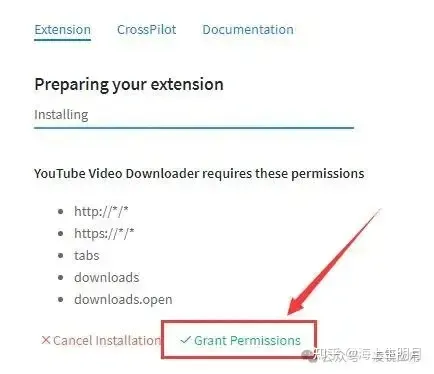 Permission request screen for a newly installed browser extension