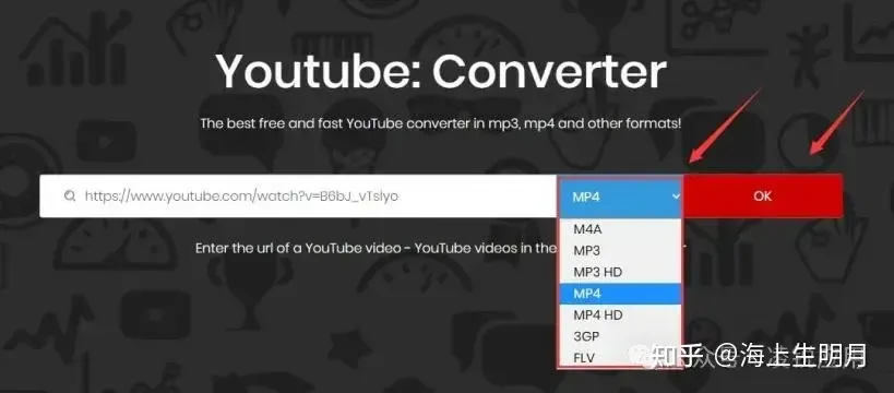 Format selection menu showing multiple video and audio output options