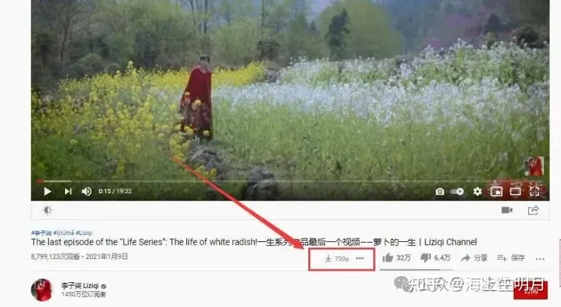 Download button and resolution menu displayed beneath a video