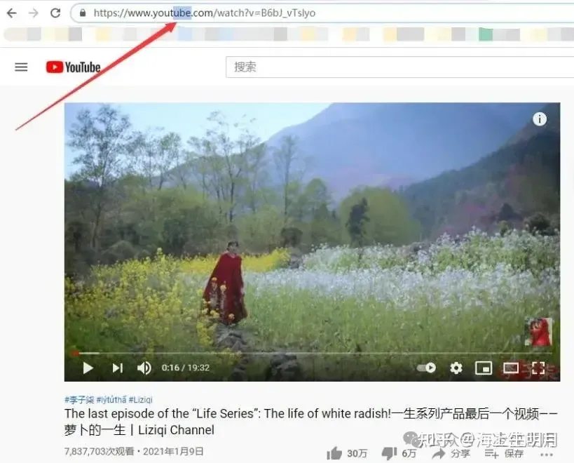 Video conversion page showing format and quality selection