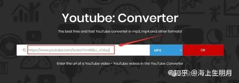 Search box on a video downloading website for entering a YouTube URL