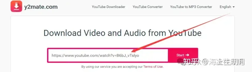Video link pasted into a downloader website search bar