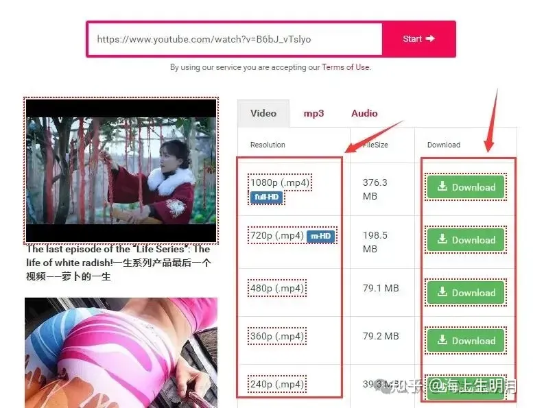 Resolution and file size options displayed for a YouTube download