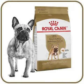 Adult dog eating from a bowl of Canine Breed dry dog food