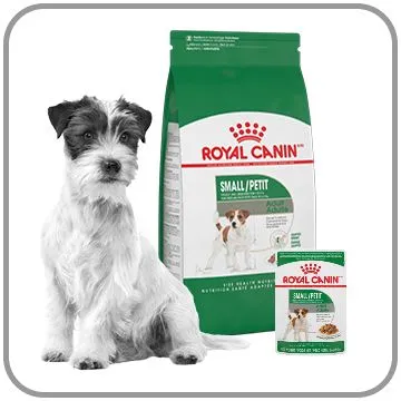 Dog eating from a bowl of Canine Size Health Nutrition wet and dry food