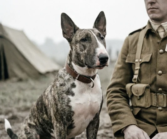 Caesar the war dog mascot resting beside New Zealand Rifle Brigade soldiers in a World War I camp