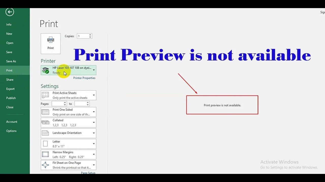 Excel worksheet open with print preview troubleshooting setup and visible data comparison area