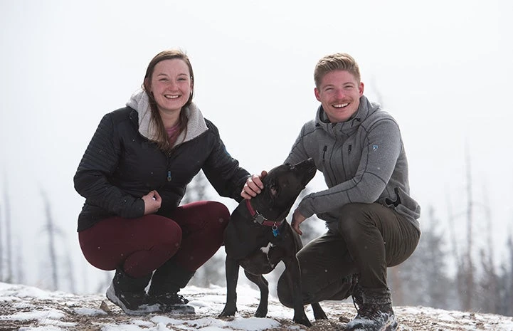 Finding home shelter dogs and their stories through compassionate rescue profiles and adoption journeys
