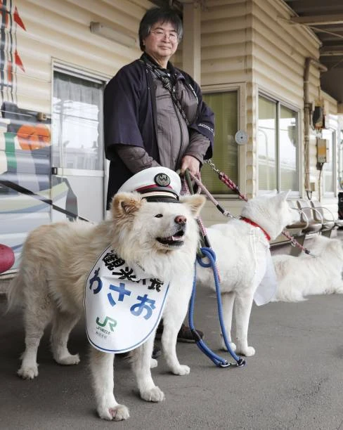 A loyal Akita dog waits quietly at a train station, echoing the heart of Hachi: A Dog's Tale