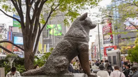 Hachiko Akita dog at Shibuya Station showing the historic loyalty story behind the famous waiting ritual