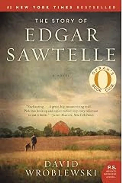 Atmospheric Wisconsin farm scene evoking the Life of Edgar Sawtelle, with a teenage boy and loyal dog near the family kennel