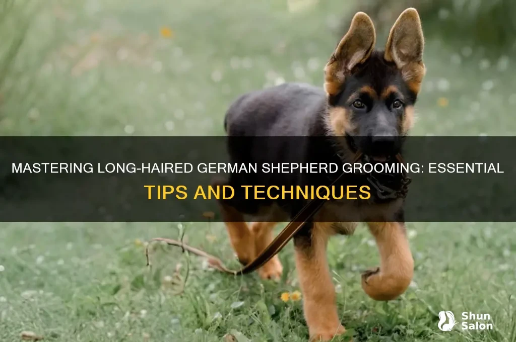 Line brushing technique shown with coat parted into small sections on a German Shepherd