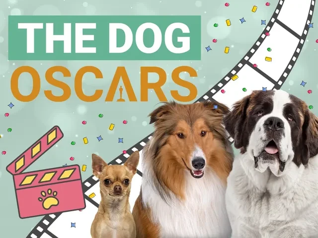 Movie with the dog themes explored through a range of canine film characters and storytelling styles