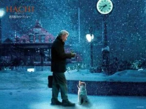 Richard Gere husky movie featuring the loyal Akita companion from Hachi A Dog's Tale and its emotional story