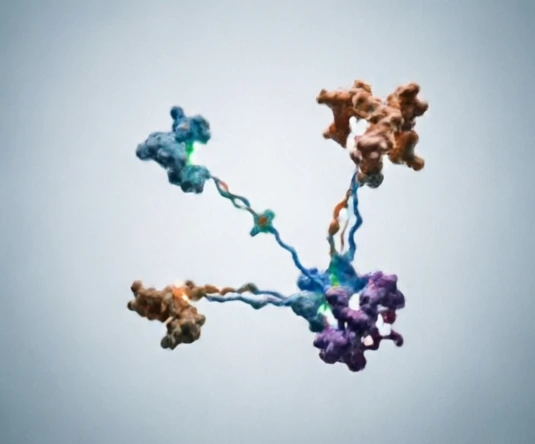 Protein network analysis interface concept showing strong and weak association confidence levels