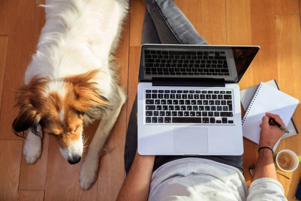Dog story writing scene with a thoughtful canine character journey and emotional connection