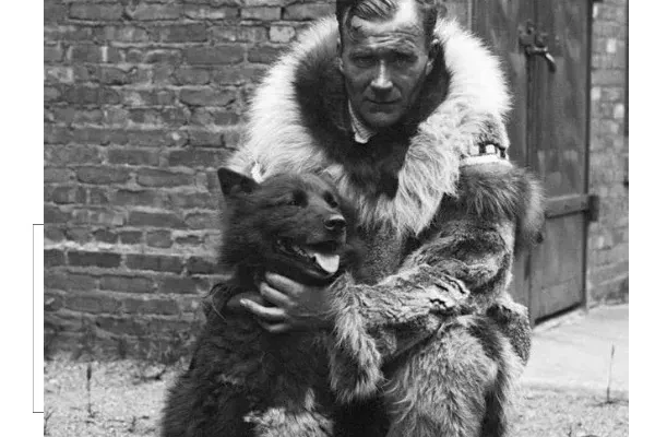 The story of Balto and Togo during the historic 1925 Nome serum run with sled dogs in Alaska