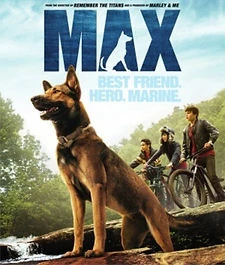 True story about dogs movies featuring loyal canine heroes and real events behind beloved films